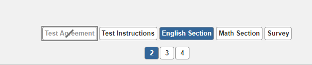 Figure 7.8 Fifth Item in a Test - Delivering Online Tests